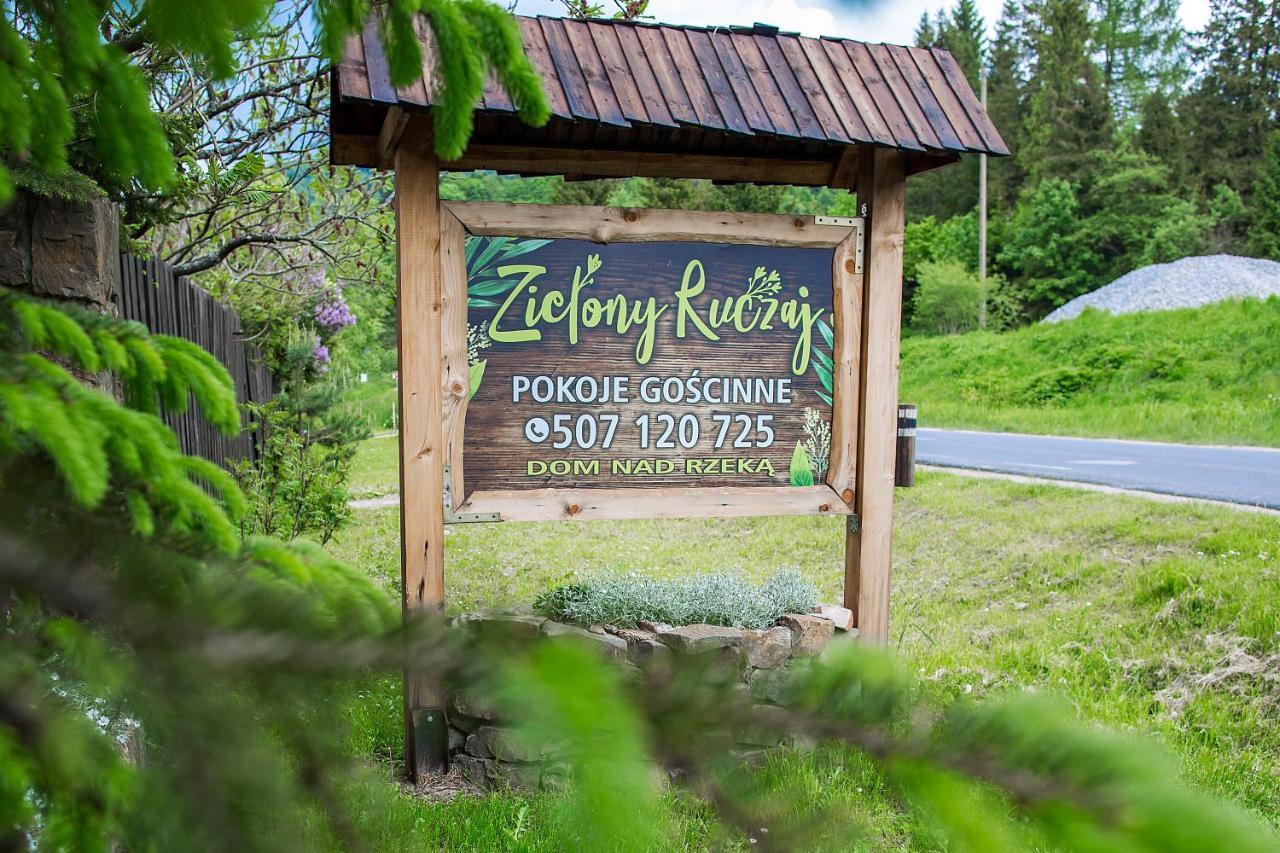 Zielony Ruczaj 齐斯纳 外观 照片